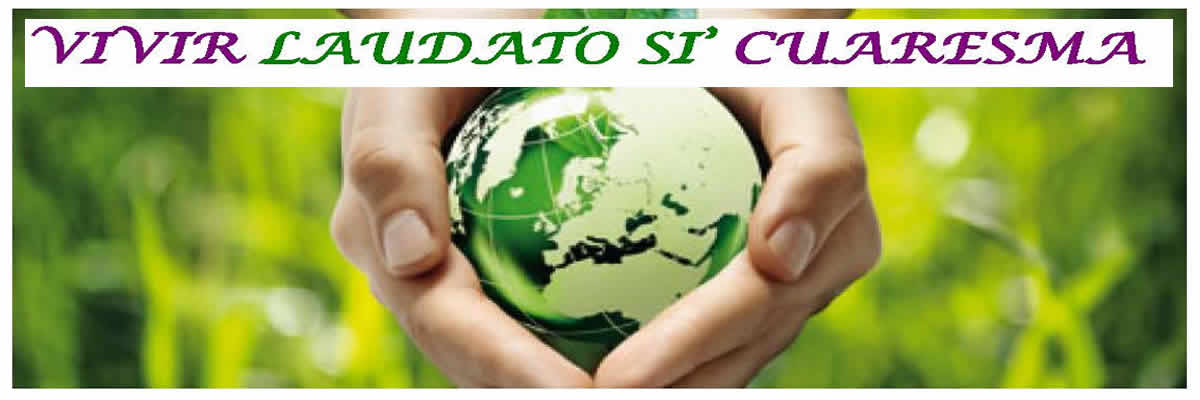 Vivir La Laudato Si En Cuaresma Comisi N Diocesana Ecolog A Integral